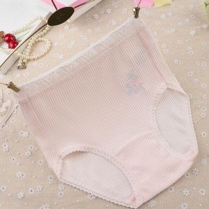 Plus size Lolita Kawaii Cotton high rise Panties. In 5 pale Robin Egg colours